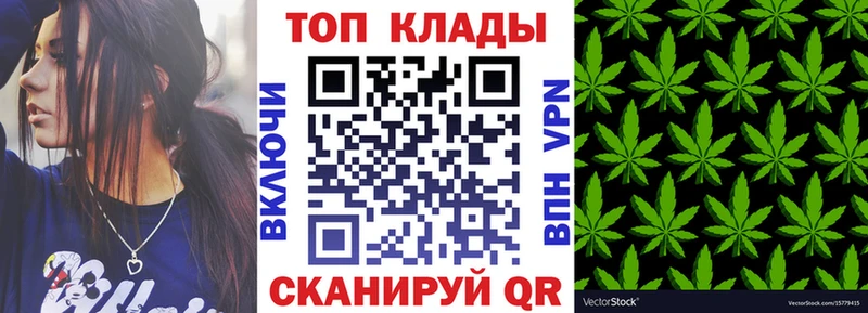 Цена Алапаевск Каннабис  Alpha-PVP  Гашиш  Codein  Меф  АМФЕТАМИН  Псилоцибиновые грибы 
