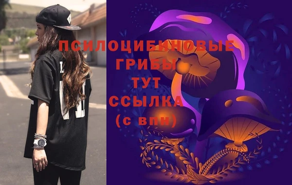 а пвп мука Абаза